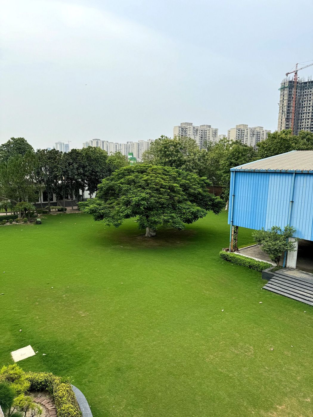 Sprawling green lawn at Aarna Farms Noida with a majestic canopy tree at its centre — open-air wedding venue space before decoration in Sector-133